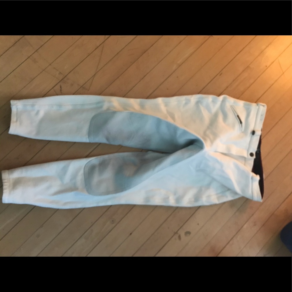 White Dressage Riding Breeches